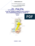 Plan de Trabajo Remoto Ugel Palpa