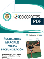 Agora Artes Marciales Mixtas Profundizacion