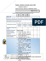 Sistema Esqulético ADAPTADA