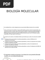 Biología Molecular