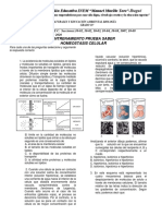 Biologia 10° Guia 2 Rociomendez PDF