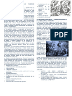 Historia de Los Partidos Políticos Tradicionales de Colombia