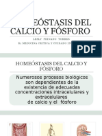 Homeostasis Del Calcio, Fósforo y Magnesio