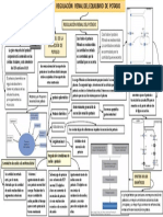 Mapa Conceptual Potasio