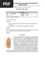 Estructura Celular 2 - 602