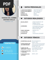 Curriculum Vitae (Vanessa Santana) PDF