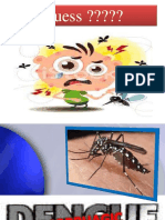 Dengue Fever