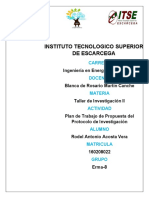 Plan de Trabajo de La Propuesta Del Protocolo de Investigacion