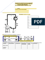 Taller Complementario de Ciencias Naturales Grado Noveno PDF