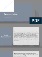 Fermentation Process (Wine & Beer)