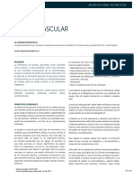 Acceso Vascular PDF