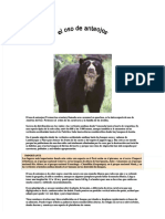 El Oso de Anteojos