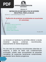 Proteínas Recombinantes Eucariotas