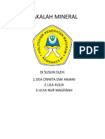 Makalah Mineral: Di Susun Oleh: 1.dea Crinita Dwi Anjani 2.lila Aulia 3.ulya Nur Magfirah