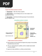 Cell Junction: 3 Types Intercellular Junctions in Animals