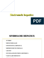 Sindroame Hepatice II