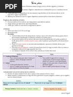 Visceras Pelvicas PDF