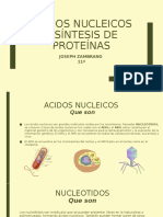 Ácidos Nucleicos y Síntesis de Proteínas