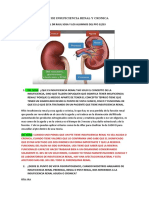 Clase de Insuficiencia Renal y Cronica