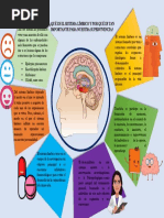 Infografia Neurofisiologia