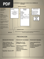 Historia Natural de La Enfermedad Difteria 2