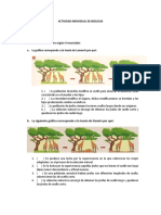 ACTIVIDAD INDIVIDUAL DE BIOLOGIA 9 Evolucion