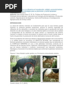 Lectura Mastitis