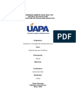 Sistema Nervioso Periferico SNP Tarea 2