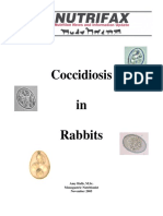 Coccidiosis in Rabbits