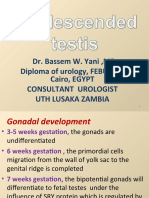 Dr. Bassem W. Yani, MD Diploma of Urology, FEBU, FCS, Cairo, EGYPT Consultant Urologist Uth Lusaka Zambia