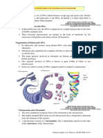 NUCLEIC ACID METABOLISM COMPLETE NOTES (B.Pharm 2nd Sem) PDF