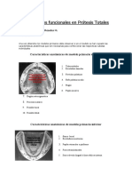 Referencia Anatómicas Paciente Desdentado Total