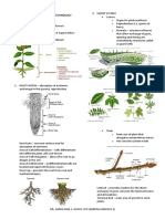 Biology 2 Plant Morphology and Biotechnology Plant Systems