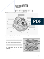 Plan de Mejoramiento Ii Periodo PDF