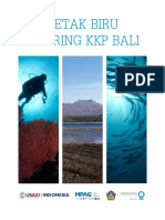 Blue Print Bali Mpa Network PDF