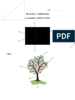 0 Fisa de Lucru Familia Lexicala