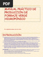 FVH Manual Practico