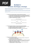 Bloque 2 - Metabolismo PDF