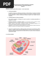 La Celula Guia N°2