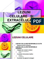 LEZIUNI CELULARE SI EXTRACELULARE Lectia2