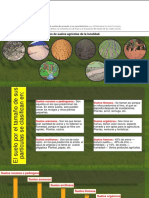 Tipos de Suelo
