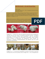 Onfalitis y Deficiente Cicatrización Umbilical