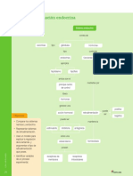 Act - Tema 1 - Coordinación Endocrina PDF