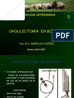 Clase 22 Ungulectomia en Bovinos