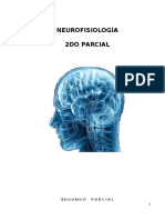 Fisio-Criterios Parcial 2