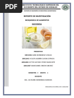 Reporte de Investigacion BIOQUIMICA Mayonesa