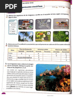 TALLER CLASIFICACIÓN DE SERES VIVOS Terminado