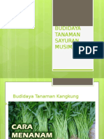 BUDIDAYA Tanaman SayuranMusiman