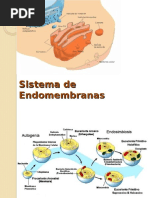 BIO 141 Clase 12 Sistema de Endomembranas