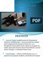 Laserterapia La Animale